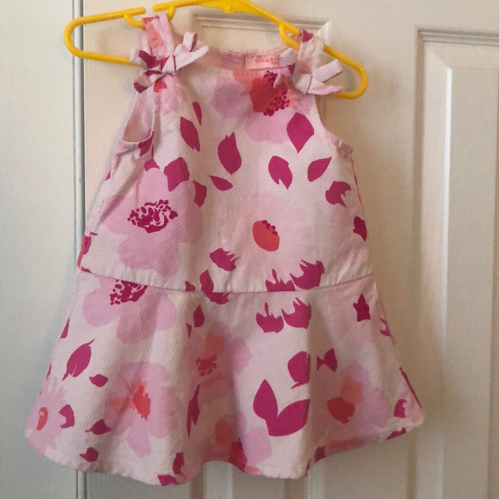 Beautiful Gingersnaps Tiny dress size 18 mo